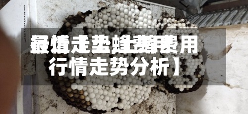 最近【土蜂费用行情走势,土蜂费用行情走势分析】-第3张图片