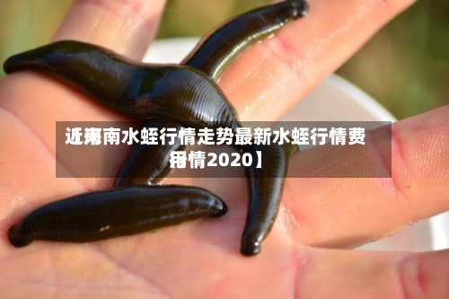 近来【河南水蛭行情走势最新水蛭行情费用行情2020】