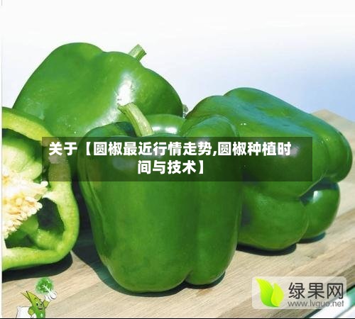 关于【圆椒最近行情走势,圆椒种植时间与技术】