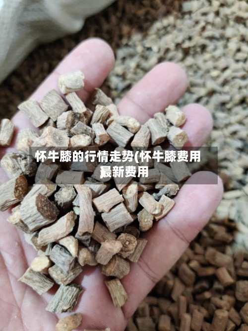 怀牛膝的行情走势(怀牛膝费用
最新费用
)