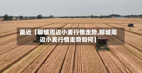 最近【聊城周边小麦行情走势,聊城周边小麦行情走势如何】