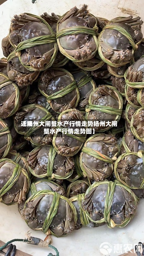 近来
【扬州大闸蟹水产行情走势扬州大闸蟹水产行情走势图】-第3张图片