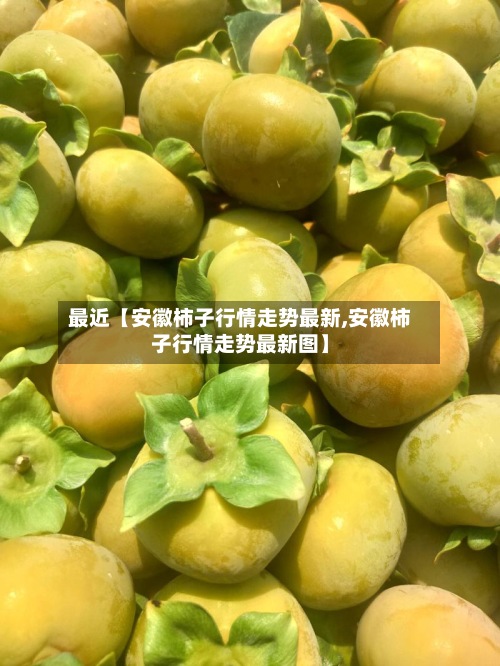 最近【安徽柿子行情走势最新,安徽柿子行情走势最新图】