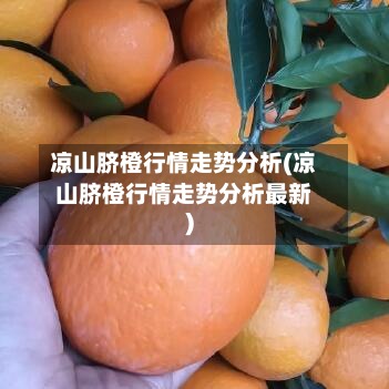 凉山脐橙行情走势分析(凉山脐橙行情走势分析最新)