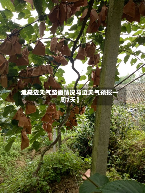 近来
【马边天气路面情况马边天气预报一周7天】