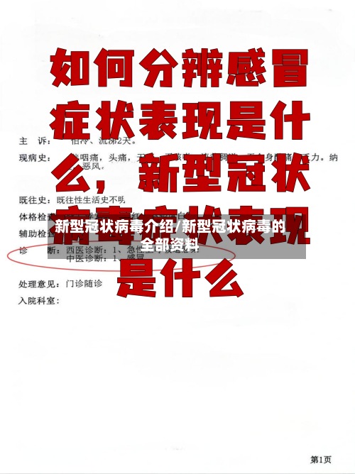 新型冠状病毒介绍/新型冠状病毒的全部资料-第2张图片