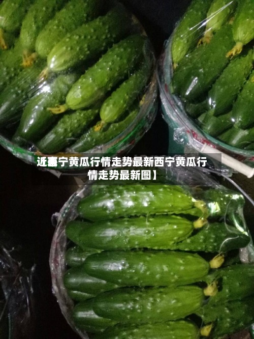 近来
【西宁黄瓜行情走势最新西宁黄瓜行情走势最新图】-第2张图片
