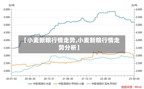 【小麦新粮行情走势,小麦新粮行情走势分析】-第3张图片