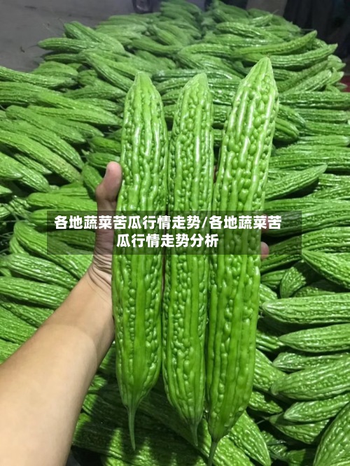 各地蔬菜苦瓜行情走势/各地蔬菜苦瓜行情走势分析
