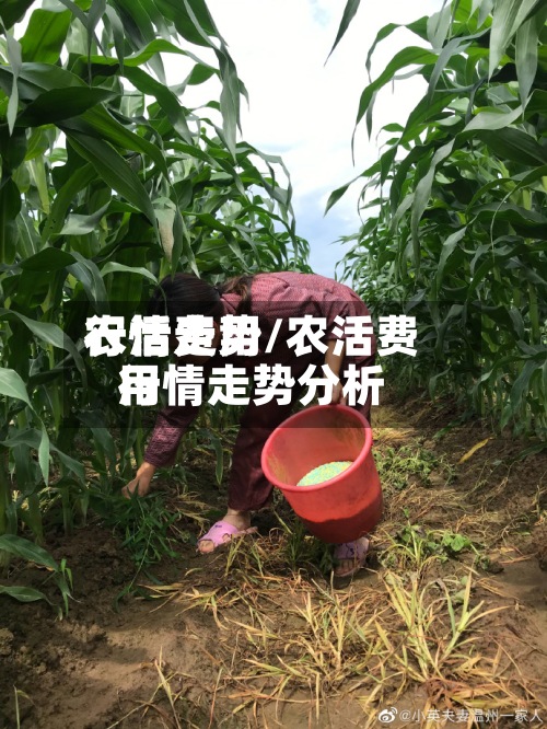 农活费用行情走势/农活费用行情走势分析-第2张图片