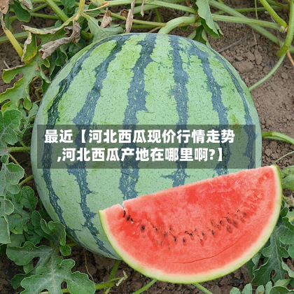最近【河北西瓜现价行情走势,河北西瓜产地在哪里啊?】