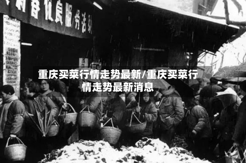 重庆买菜行情走势最新/重庆买菜行情走势最新消息-第2张图片