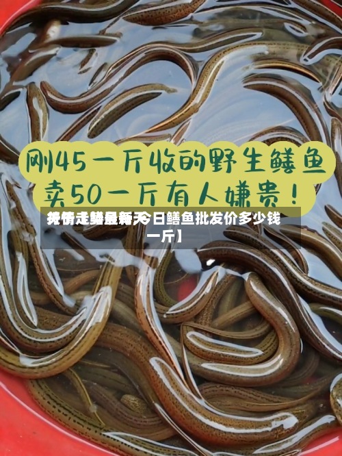 关于【鳝鱼每天行情走势最新,今日鳝鱼批发价多少钱一斤】-第3张图片