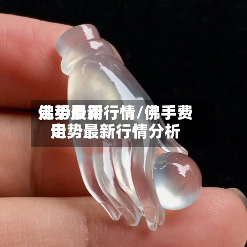 佛手费用走势最新行情/佛手费用走势最新行情分析