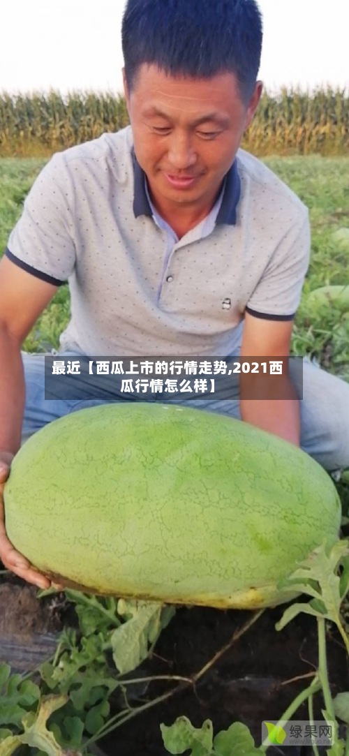 最近【西瓜上市的行情走势,2021西瓜行情怎么样】-第2张图片