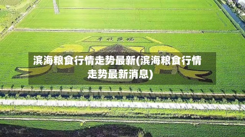 滨海粮食行情走势最新(滨海粮食行情走势最新消息)-第2张图片