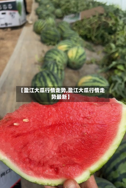 【盈江大瓜行情走势,盈江大瓜行情走势最新】