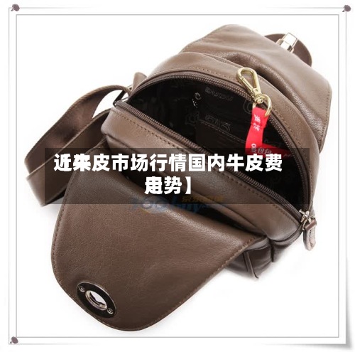 近来【牛皮市场行情国内牛皮费用走势】