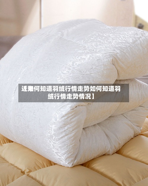 近来【如何知道羽绒行情走势如何知道羽绒行情走势情况】-第3张图片