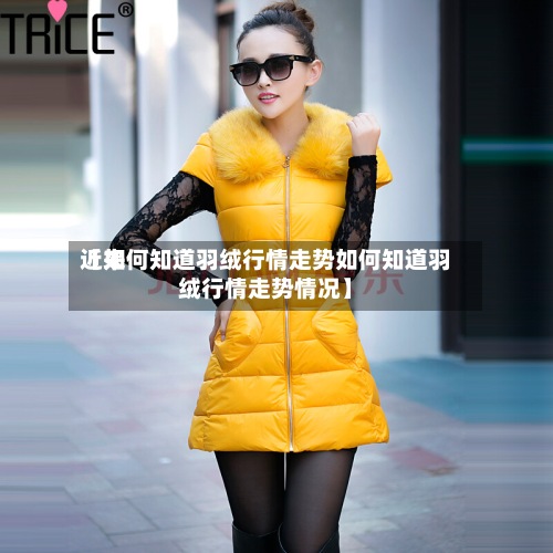 近来【如何知道羽绒行情走势如何知道羽绒行情走势情况】-第2张图片