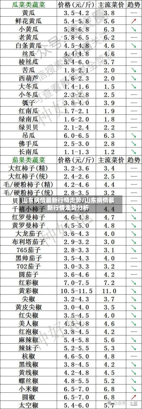 山东病情最新行情走势/山东病情最新行情走势分析