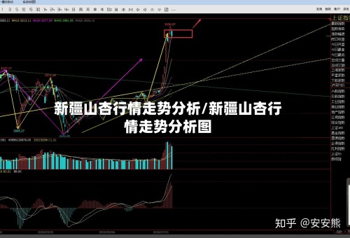 新疆山杏行情走势分析/新疆山杏行情走势分析图