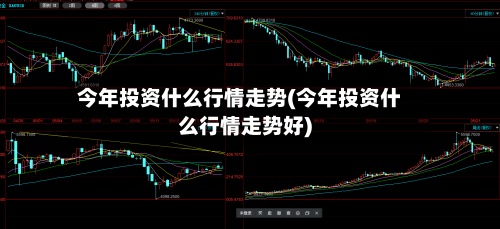今年投资什么行情走势(今年投资什么行情走势好)-第2张图片