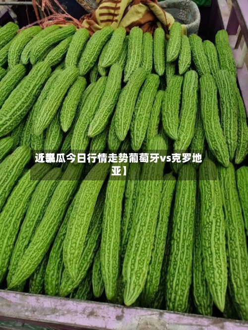 近来【瓠瓜今日行情走势葡萄牙vs克罗地亚】-第2张图片