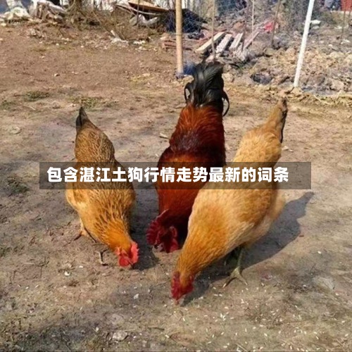 包含湛江土狗行情走势最新的词条