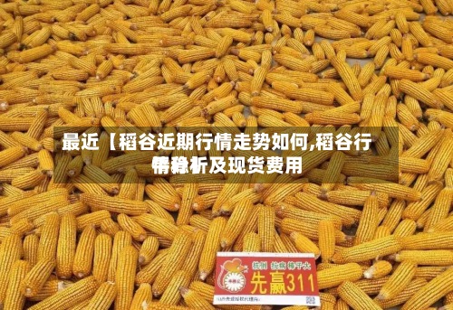 最近【稻谷近期行情走势如何,稻谷行情分析及现货费用
平稳】-第3张图片