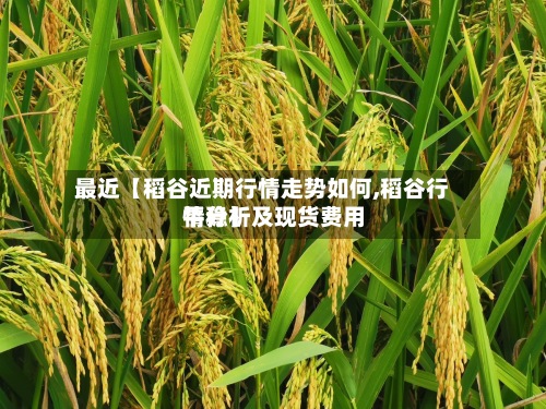 最近【稻谷近期行情走势如何,稻谷行情分析及现货费用
平稳】