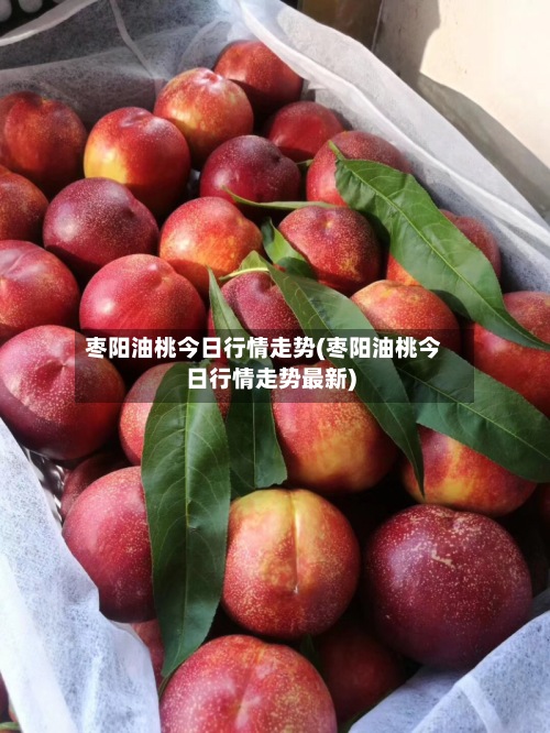 枣阳油桃今日行情走势(枣阳油桃今日行情走势最新)