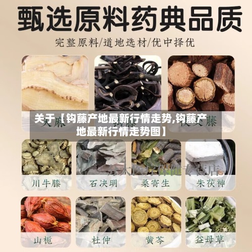 关于【钩藤产地最新行情走势,钩藤产地最新行情走势图】-第3张图片
