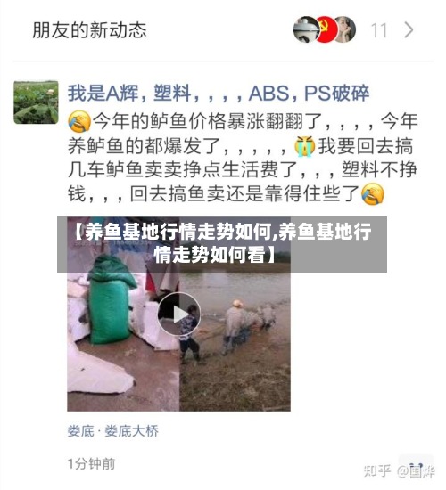 【养鱼基地行情走势如何,养鱼基地行情走势如何看】