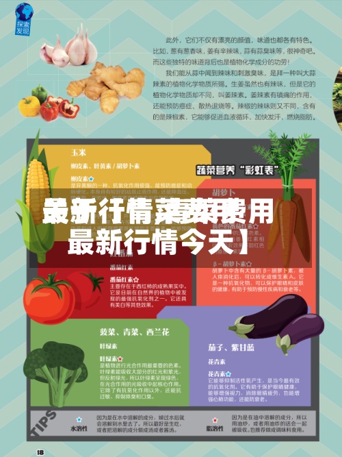 关于【青菜费用
最新行情,青菜费用
最新行情今天】-第3张图片