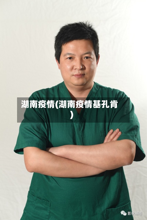 湖南疫情(湖南疫情基孔肯)-第3张图片