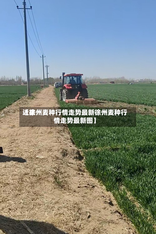 近来
【徐州麦种行情走势最新徐州麦种行情走势最新图】