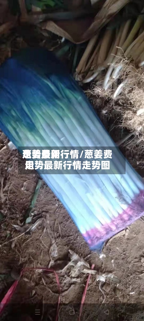 葱姜费用
走势最新行情/葱姜费用
走势最新行情走势图-第2张图片