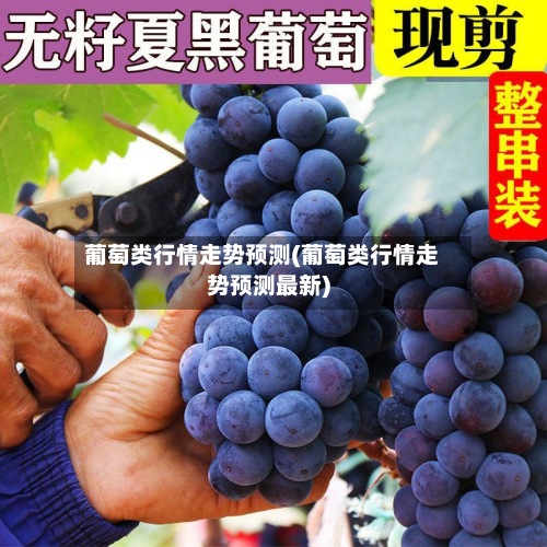 葡萄类行情走势预测(葡萄类行情走势预测最新)-第2张图片