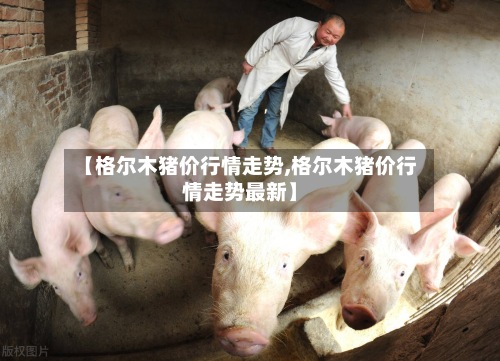 【格尔木猪价行情走势,格尔木猪价行情走势最新】-第2张图片