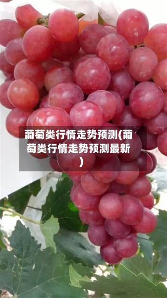 葡萄类行情走势预测(葡萄类行情走势预测最新)