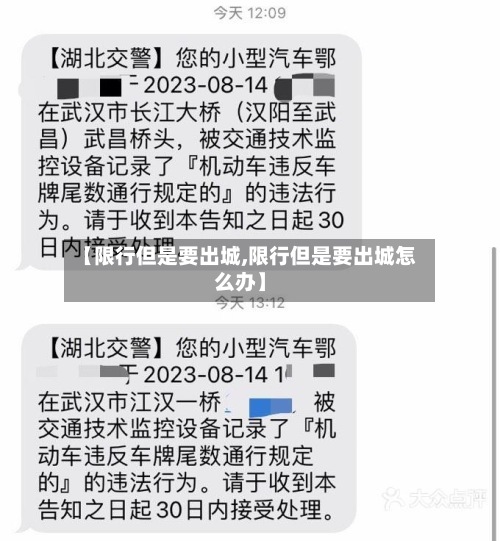 【限行但是要出城,限行但是要出城怎么办】-第2张图片