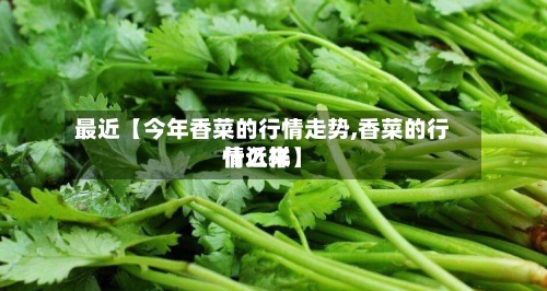最近【今年香菜的行情走势,香菜的行情近来什么样】
