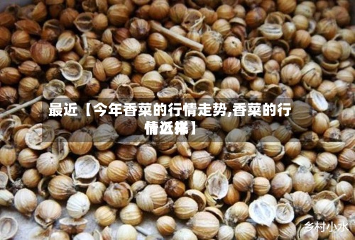 最近【今年香菜的行情走势,香菜的行情近来
什么样】-第2张图片