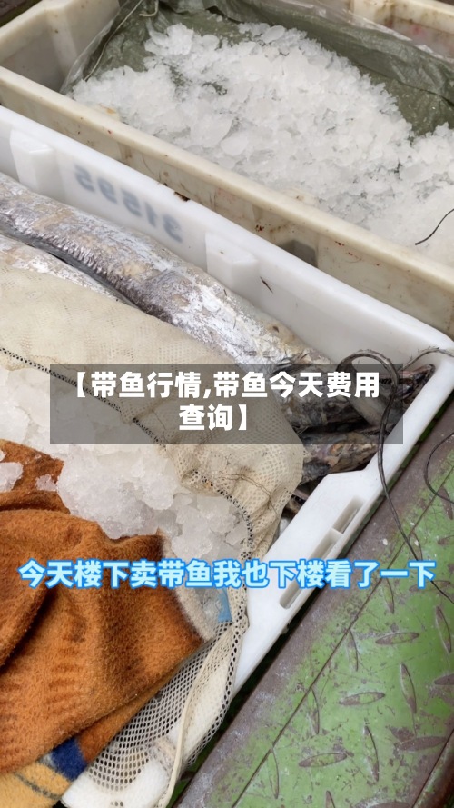 【带鱼行情,带鱼今天费用
查询】