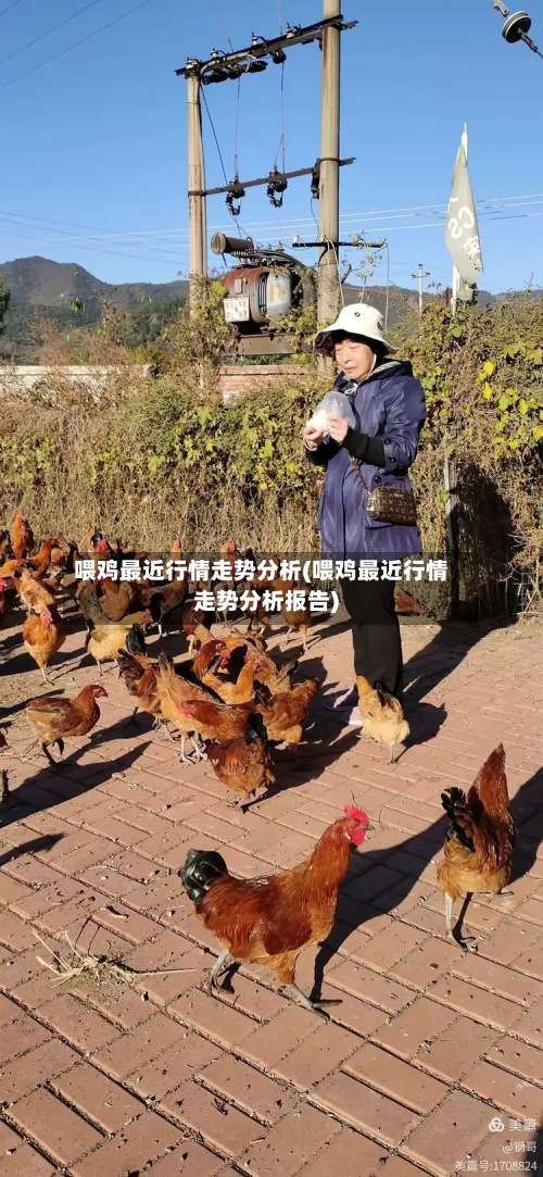 喂鸡最近行情走势分析(喂鸡最近行情走势分析报告)-第2张图片