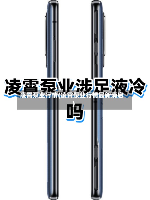 凌霄泵业行情(凌霄泵业行情最新消息)