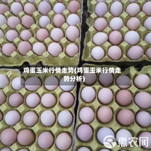 鸡蛋玉米行情走势(鸡蛋玉米行情走势分析)