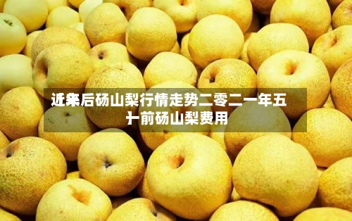 近来
【年后砀山梨行情走势二零二一年五一前砀山梨费用
】