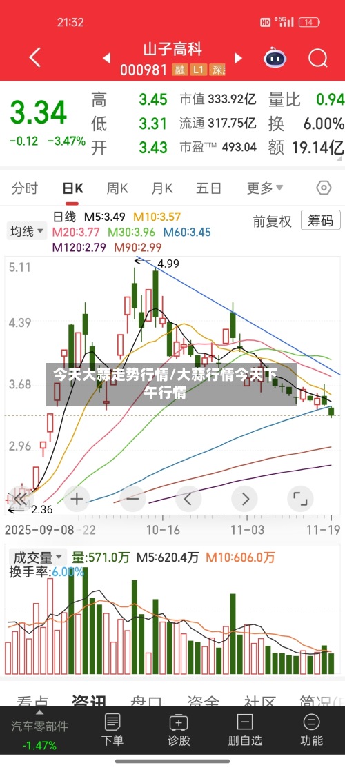 今天大蒜走势行情/大蒜行情今天下午行情-第2张图片